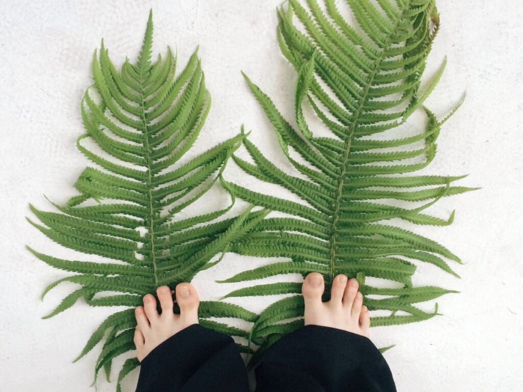 minimalismo no dia a dia, como ser minimalista. Imagem de uma mulher em cima de duas folhas, indicando simplicidade, uma das características do minimalismo.