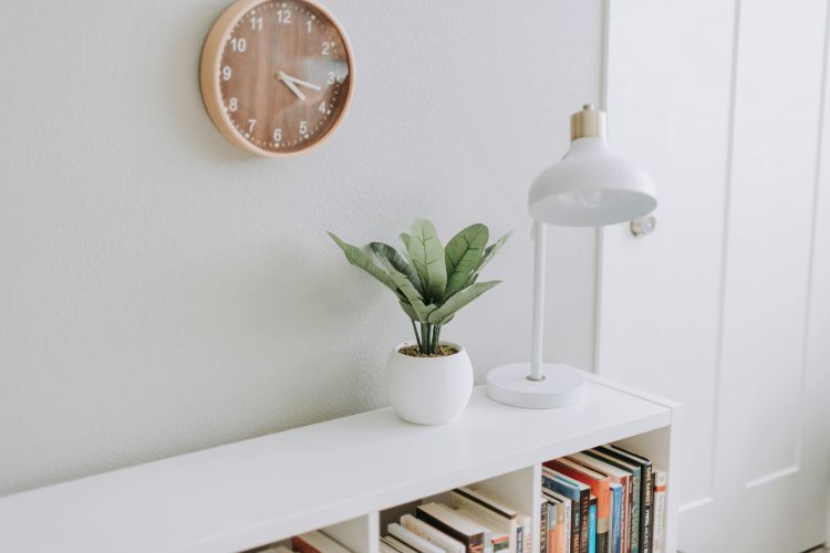 casa minimalista e funcional, imagem de uma estante de livros e uma planta.